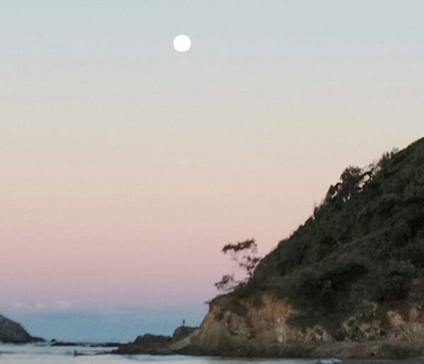 Yom Kippur Drash 2021: Mullumbimby